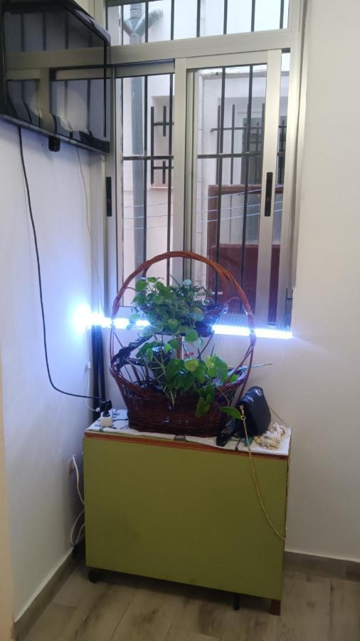 Apartamento Alicia Μαδρίτη Εξωτερικό φωτογραφία